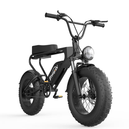 Electric Bike 1200W 20" Ebike Mountain E-Bike 48V 20Ah Lithium-Ion Battery 7-Speed U L Certified